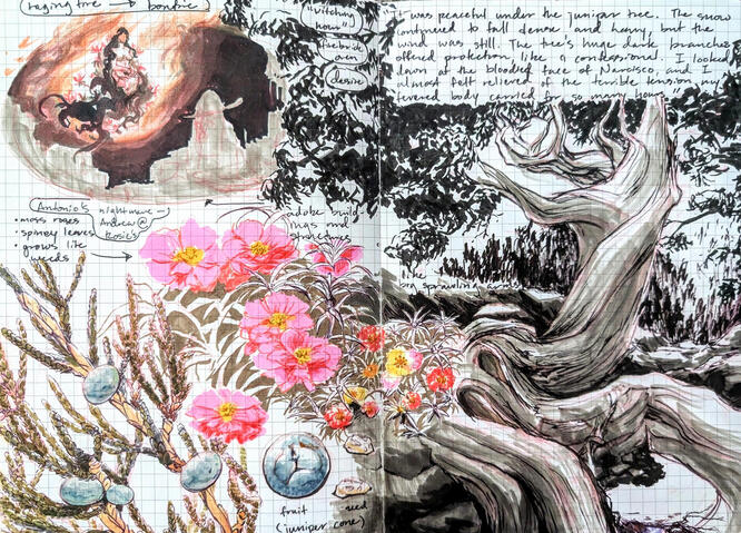 Bless Me, Ultima - mood board drawings (sketchbook)